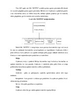 Diplomdarbs 'SIA "Estēts" mārketinga stratēģija', 42.