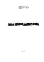 Referāts 'Jauniešu individuālās identitātes attīstība', 1.