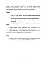 Referāts 'Jauniešu individuālās identitātes attīstība', 4.