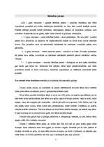 Referāts 'Jauniešu individuālās identitātes attīstība', 5.