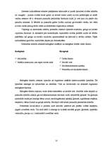 Referāts 'Jauniešu individuālās identitātes attīstība', 14.