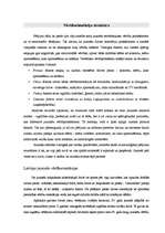 Referāts 'Jauniešu individuālās identitātes attīstība', 21.