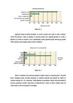 Referāts 'Jauniešu individuālās identitātes attīstība', 23.