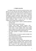 Referāts 'Z/s ražošanas plāns un attīstības iespējas', 8.