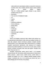 Referāts 'Z/s ražošanas plāns un attīstības iespējas', 9.