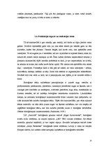 Referāts 'Z/s ražošanas plāns un attīstības iespējas', 14.