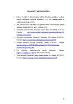 Referāts 'Z/s ražošanas plāns un attīstības iespējas', 26.