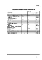 Referāts 'Z/s ražošanas plāns un attīstības iespējas', 29.