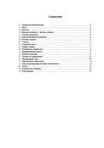 Biznesa plāns 'Бизнес план', 1.