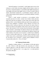 Prakses atskaite 'Prakses atskaite par autotirdzniecības uzņēmumu', 17.