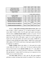 Prakses atskaite 'Prakses atskaite par autotirdzniecības uzņēmumu', 19.