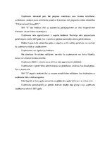 Prakses atskaite 'Prakses atskaite par autotirdzniecības uzņēmumu', 25.