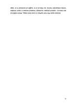 Referāts 'Talismani un amuleti senāk un mūsdienās', 16.