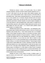 Referāts 'Talismani un amuleti senāk un mūsdienās', 17.