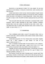 Referāts 'Krāsu un cilvēka auras sintēze', 5.