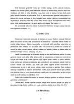 Referāts 'Krāsu un cilvēka auras sintēze', 13.