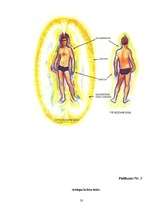 Referāts 'Krāsu un cilvēka auras sintēze', 32.