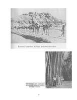 Referāts 'Āzijas lielākās valstis', 14.