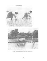 Referāts 'Āzijas lielākās valstis', 17.