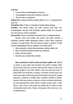 Diplomdarbs 'Sociālpedagoģiskais darbs', 37.