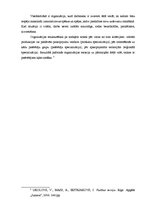 Referāts 'Organizatorisko struktūru pamati', 6.