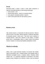 Referāts 'Reaktīvs artrīts', 3.