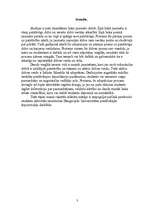 Referāts 'Studentu ārpusstudiju darbība DU', 3.