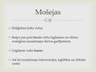 Prezentācija 'Islāms', 8.