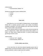 Referāts 'Būvdarbu tehnoloģija un drošības tehnika', 5.