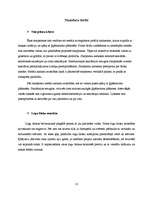 Referāts 'Būvdarbu tehnoloģija un drošības tehnika', 12.