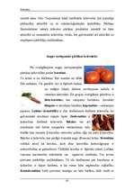 Referāts 'Krāsvielas', 9.