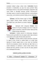 Referāts 'Krāsvielas', 10.