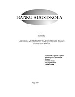 Referāts 'Uzņēmuma SIA "TietoEnator" pielietojamo finanšu instrumentu analīze', 1.