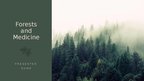 Prezentācija 'Forests and medicine', 1.