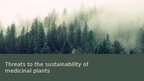 Prezentācija 'Forests and medicine', 19.
