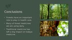 Prezentācija 'Forests and medicine', 29.