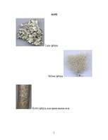 Referāts 'Ķērpji', 5.