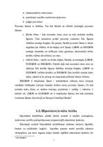 Referāts 'Hipotekārā kreditēšana', 5.