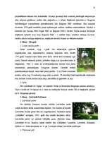 Referāts 'Ogres rajona tūrisma uzņēmējdarbības vide', 9.