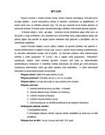 Referāts 'E-biznesa iespējas Latvijā', 6.