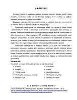 Referāts 'E-biznesa iespējas Latvijā', 7.