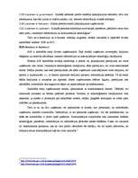 Referāts 'E-biznesa iespējas Latvijā', 15.