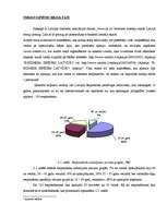 Referāts 'E-biznesa iespējas Latvijā', 20.