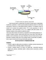 Referāts 'E-biznesa iespējas Latvijā', 26.