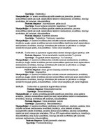 Prakses atskaite 'Prakses dienasgrāmata', 17.