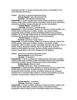 Prakses atskaite 'Prakses dienasgrāmata', 19.