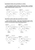 Prakses atskaite 'AS "Aldaris"', 16.