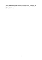 Referāts 'Viesnīcu neparastāko pakalpojumu raksturojums', 13.