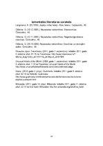 Referāts 'Viesnīcu neparastāko pakalpojumu raksturojums', 14.