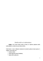 Referāts 'Kredītprocentu un depozītu procentu dinamika Latvijā laikā no 1995. līdz 2005.ga', 5.